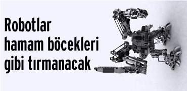 Robotlar, hamam böcekleri gibi tırmanacak