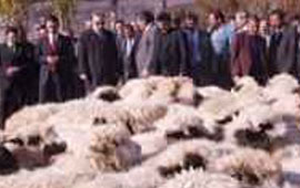 Üreticilere destek verildi