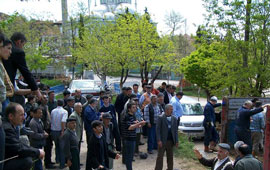 On aileye 20 düve dağıtıldı