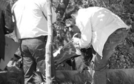 Gömülü el bombası bulundu