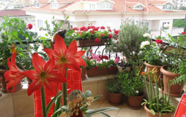 En güzel balkon yarışması
