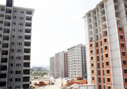 Canikin yükselen yıldızı