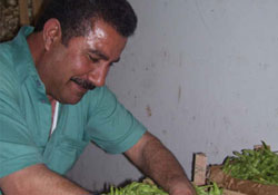 Halin, tadı tuzu kalmadı