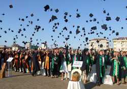 Ordu'da kepler atıldı