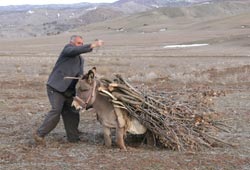 Eşek çamura batarsa