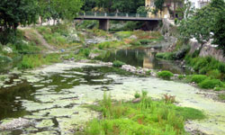 Derelerde kirlenme...