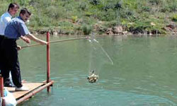 Güven Göletinden ...