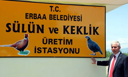 Kenelerin hakkından ...