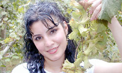 Fındıkta ürünü değil,...