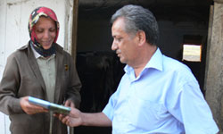 Kapalı ahırlardan...