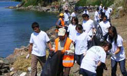 Belediye, çevreye zarar ...