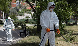 Keneyle mücadele ...