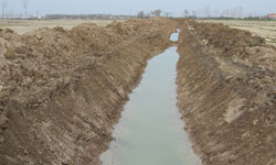 Bafralı çiftçiye katkı...