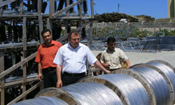 YEDAŞ, şebekeleri...