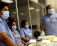 Gaziantep'te domuz gribi şüphesi