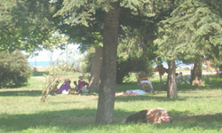 Sıcak havaya dikkat!