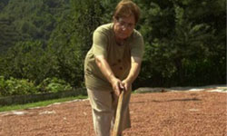 Fındıkta belirsizlik...