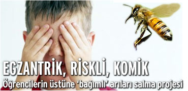 Müdür Beyin egzantrik projesi