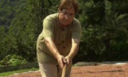 Fındıkta yeni süreç