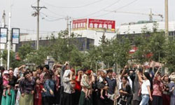 Vahşete seyirci kalınıyor