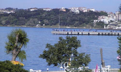 Rusyaya ihracata izin...