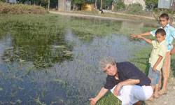 Bafra Ovası çölleşiyor mu?