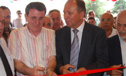 Krizde, Çamlıdağ atağı