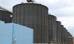 Mahsul fazla bekleniyor