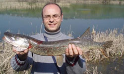 Göletlere sazan bırakılacak