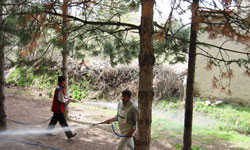 KKKA Hastalığı ile mücadele