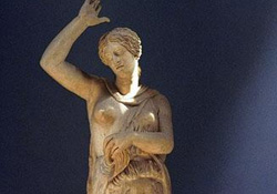 Amazon iskeletleri...