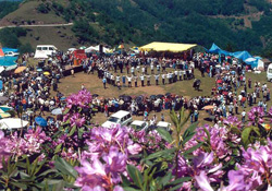 Bafra'da Karakucak...