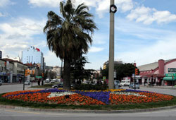 Samsun çiçek deryası