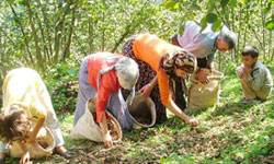 Çiftçinin Görüşü alınmalı