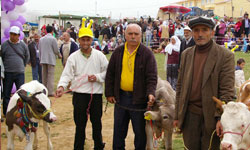 Yaylalara şenlik geldi