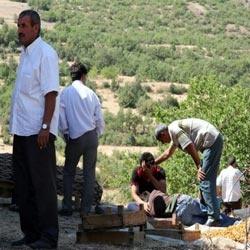 Elazığ'da katliam: 6 ölü