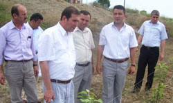 Kenelerin hepsi virüslü değil!