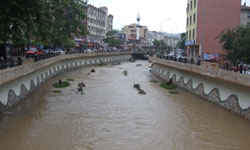 Karadeniz sele...
