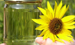 Samsun'da biyoyakıt...