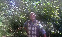 Üretici, garanti...