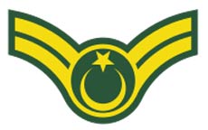 TSK'da 'Bey'ler devri