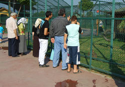 Hayvanat bahçesine...