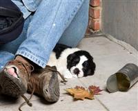 Evsizlere "tek yönlü" ücretsiz uçak bileti