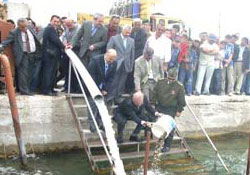 Adatepe Göletine sazan bırakıldı