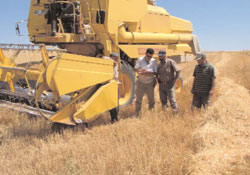 Biçerdöver ve patpatlara plaka