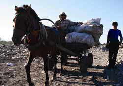 Ekmeklerini çöpten çıkarıyorlar