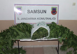 Uyuşturucuya baskın!