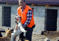 Başıboş köpekler, kontrol altında