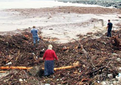 Kışlık yakacakları çıktı!