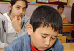 Velilerden puanlama sistemine eleştiri